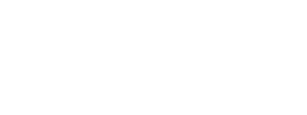 logo light